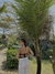 Imagen de Enteriza STRIPS