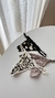 Pack PRETA regulabless - tienda online