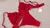Imagen de Conjunto SCARLET red