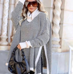 Poncho Erika na internet