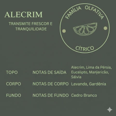 Home Spray Alecrim 250ml - comprar online