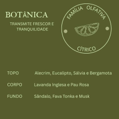 Vela Aromática Botânica 200g na internet