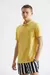 THE SOLID DADDY POLO PENGUIN - comprar online