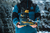 FISCHER RANGER 120 GW DYN GREY - tienda online