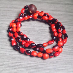 RDOGBOI0007 - Guia Boiadeiro modelo 7 (un)