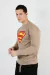 Buzo Guinea Superman - comprar online