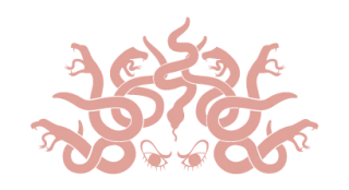 Medusa Colores