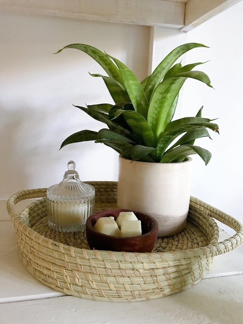 BANDEJA SMALL