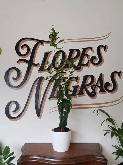 Limonero - Genova - 4 estaciones - Certif SENASA