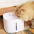 Bebedouro Fonte de Agua Gatos e Cães Com Led Usb