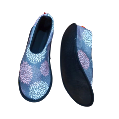 Janis Pompon en internet