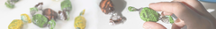 Banner de la categoría Caramelo de Propoleos