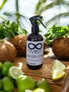HOME SPRAY 250ml (Coco&Lima) - comprar online