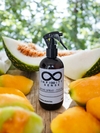 HOME SPRAY 250ml (MANGO Y MELON) - comprar online