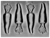 Moldes Placa Acetato Zanahorias