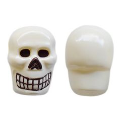 Molde Placa Acetato Calavera Grande 15cm
