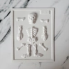 Molde Placa Acetato Esqueleto