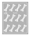 Molde Placa Acetato Huesitos x 12 Parpen