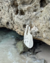 BAG SMIDT OFF WHITE - SMIDT Shoes