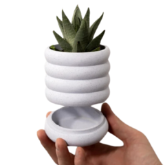Maceta Burbujas colgante para pared con deposito de agua - comprar online
