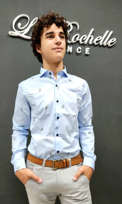 Camisa estampada (S179)100% algodon - comprar online