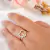 Anel com Nossa Senhora banhado em ouro 18k