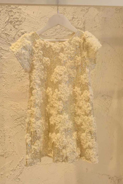 Vestido Anahi TULL BORDADO LENTEJUELAS NEW! - comprar online