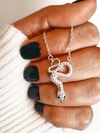 COLLAR SNAKE