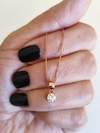 CONJUNTO SIRI