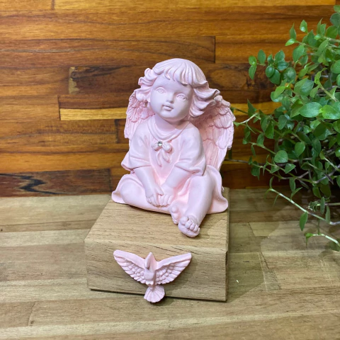 Imagem Anjo da Guarda Baby Contemplando