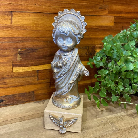 Imagem Sagrado Coração de Jesus Baby