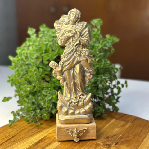 Imagem Nossa Senhora Desatadora dos Nós - comprar online