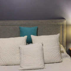 Respaldo Venecia en internet