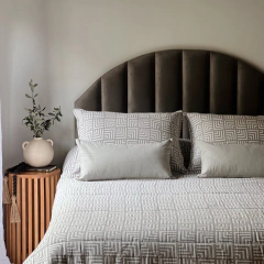 Respaldo Aurora en internet