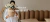 Carrusel Decohome C&A