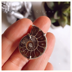 Anillo Amonite • Regulable - comprar online
