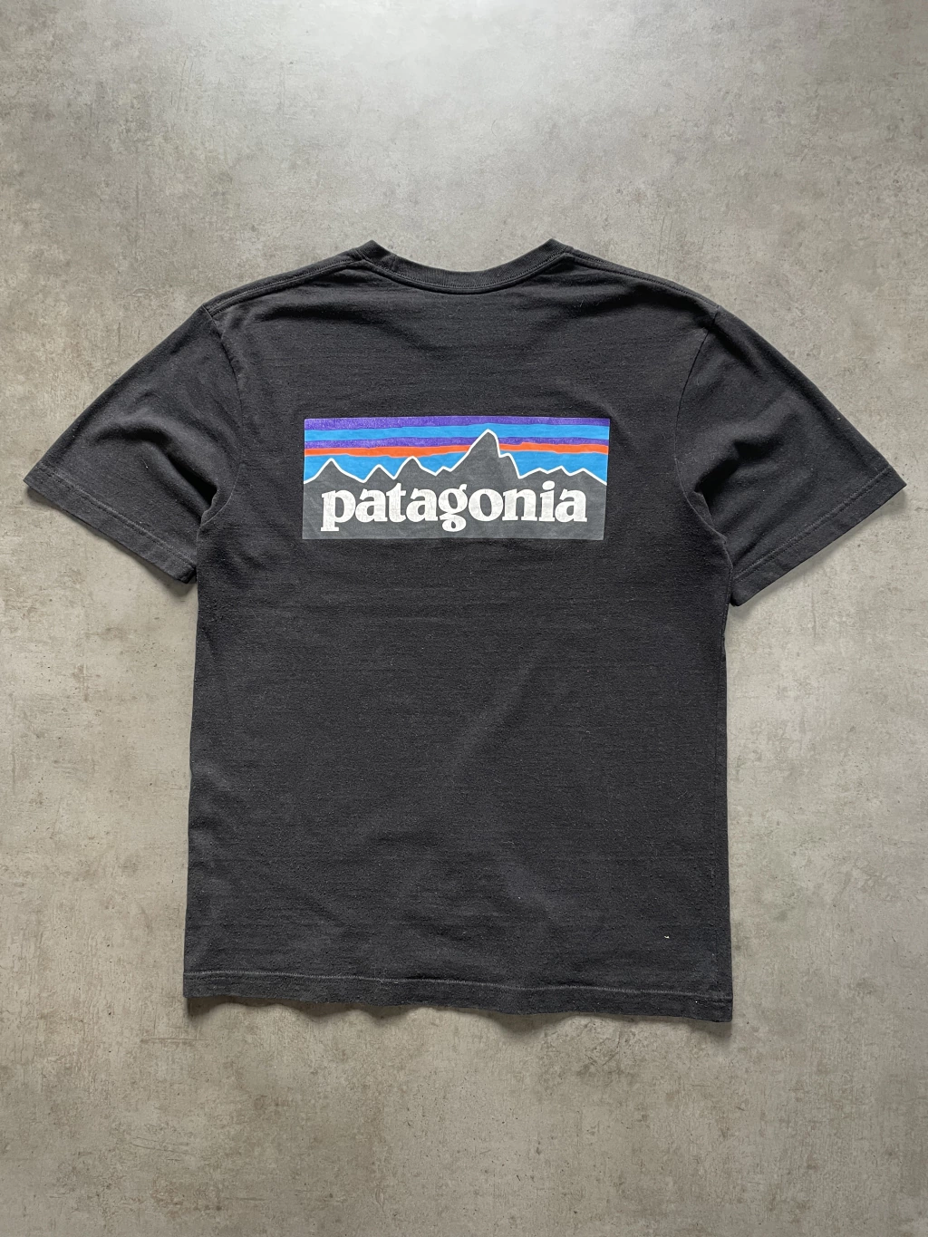 Remera Patagonia T.S