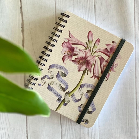 NOTEBOOK CHICO (TSUCANY-2)