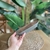 BANDEJA DE FIBRA DE BAMBOO SUMATRA SIMIL MADERA EXTERIOR GRIS 25X14X4 CM