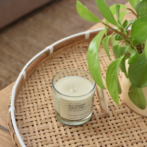 VELA EVERGREEN - comprar online