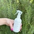 SPRAY POMELO & VAINILLA