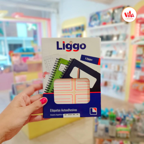 Rotulo escolar LIGGO (azul, rojo, verde) x unidad