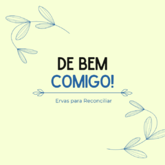 Kit De Bem Comigo - Receitinhas da Santa - comprar online