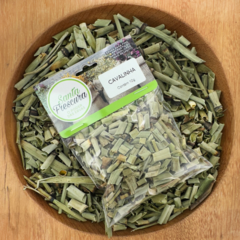 Cavalinha 10g