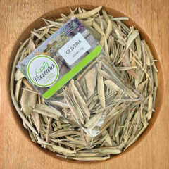 Oliveira 10g