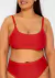 TOP NARCISO (429)