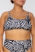 TOP ABELIA (407)