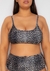 TOP ABELIA (407)