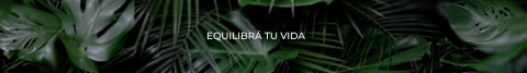 Banner de la categoría Productos
