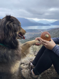 Sol De Mayo - Aplique incrustado de Bronce - Cebando Ando